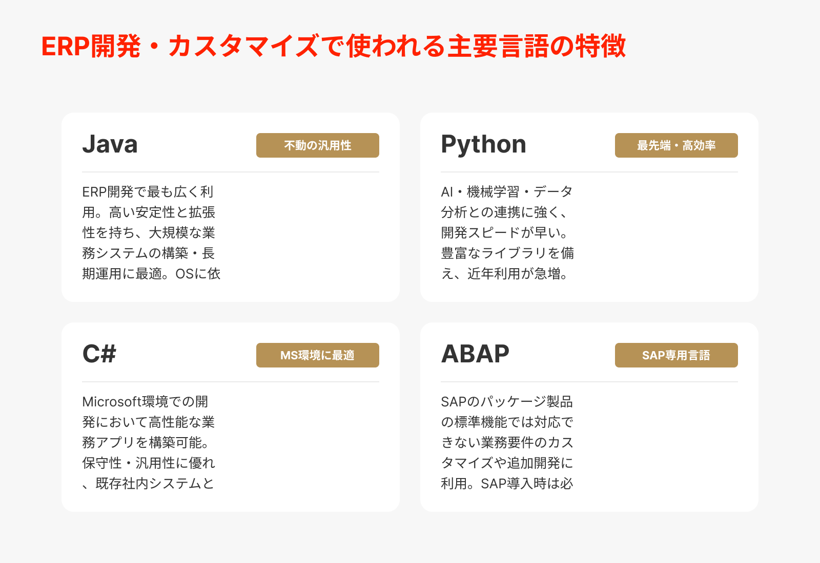 ERPで使用される言語